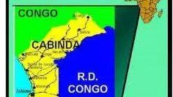 Cabinda: Autoridades tradicionais dizem ter sido defraudadas por membros do governo - 1:35