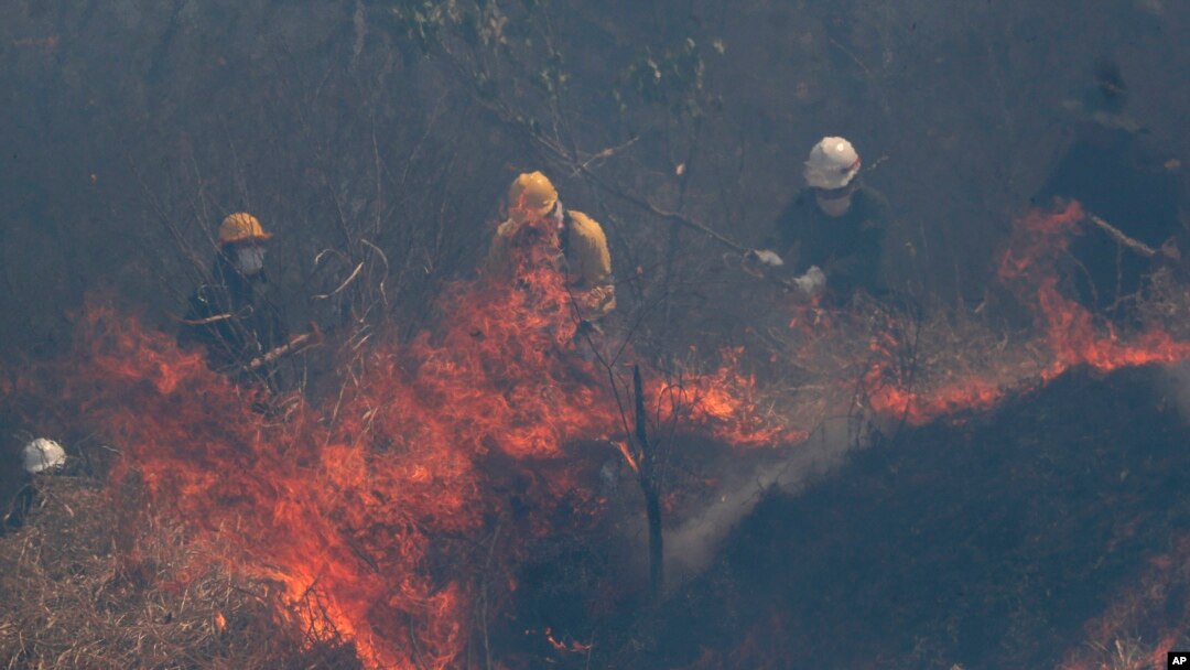 Policía y bomberos combaten las llamas en el bosque de Chiquitanía, en las afueras de Roboré, Bolivia, 30 de agosto de 2019. (AP Foto/Juan Karita)