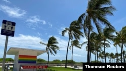 Palmas azotadas por el viento antes del paso de la tormenta tropical Isaias en Miami Beach, Florida. Agosto 1 de 2020.