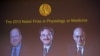 James Rothman and Randy Schekman, of the US, and German-born researcher Thomas Suedhof are projected on a screen, in Stockholm, Sweden after they were announced as the winners of the 2013 Nobel Prize in medicine, Oct. 7, 2013.