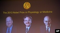 James Rothman and Randy Schekman, of the US, and German-born researcher Thomas Suedhof are projected on a screen, in Stockholm, Sweden after they were announced as the winners of the 2013 Nobel Prize in medicine, Oct. 7, 2013.