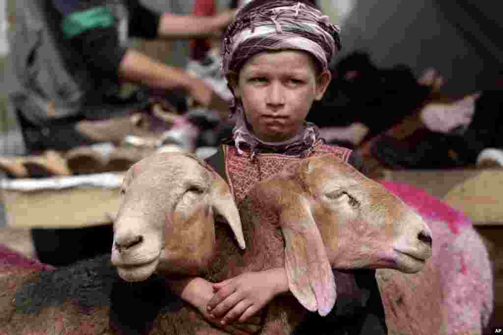 An Afghan boy waits for customers at a livestock market set up for the upcoming Muslim holiday of Eid al-Adha, or "feast of sacrifice," on the road side of Kabul, Oct. 13, 2013. 