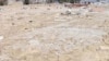 The March 2011 Japan tsunami contaminated some 20,000 hectares of rice paddies with salt.