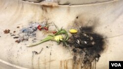Items left at an impromptu memorial in Washington for slain Muslim teen Nabra Hassanen were set on fire, June 21, 2017. (E. Sarai/VOA)