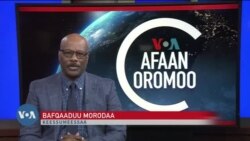 Tamsaasa Guyaadhaa Guyyaa