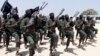 12 Al-Shabab Fighters Killed in Airstrike, US Military Says