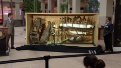 Museum of Natural History Provides Glimpse of New Dinosaur Display