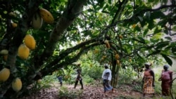 São Tomé e Príncipe prepara-se para o acordo de livre comércio africano