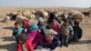 Internally displaced Syrians who fled Raqqa city rest near sheep in northern Raqqa province, Syria, Feb. 6, 2017. 